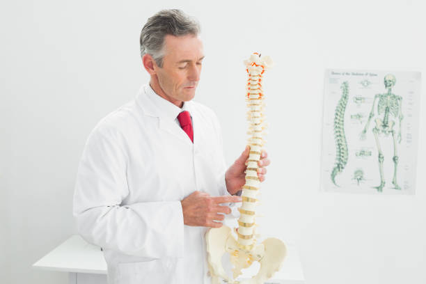 istock Doctor holding skeleton model in office 869573814