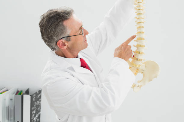istock Male doctor holding skeleton model in office 869573832