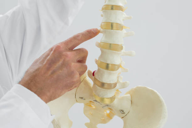 istock Male doctor with skeleton model 869573854
