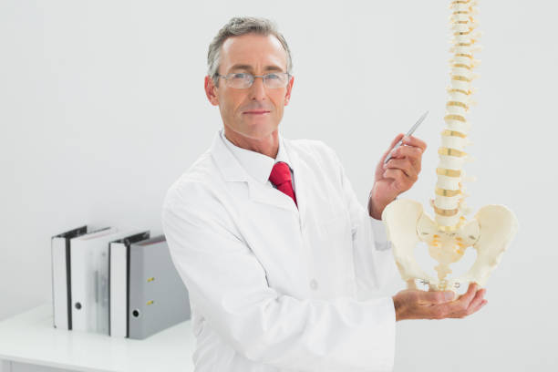 istock Confident male doctor holding skeleton model in office 869573876
