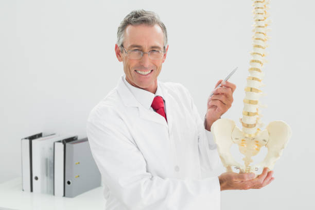 istock Happy doctor holding skeleton model in office 869573888