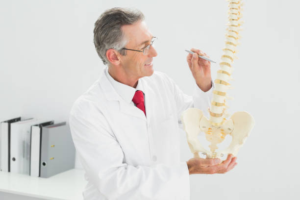 istock Smiling doctor holding skeleton model in office 869573898