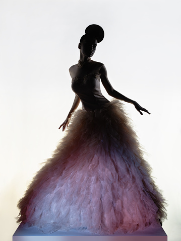 Art fashion studio photo of beautiful elegant woman in luxury evening dress. \