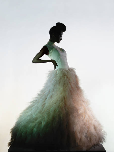 Art fashion studio photo of beautiful elegant woman in luxury evening dress. stock photo