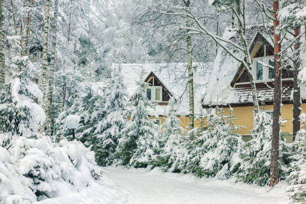 istock Small house for rest in the winter forest. 869598948