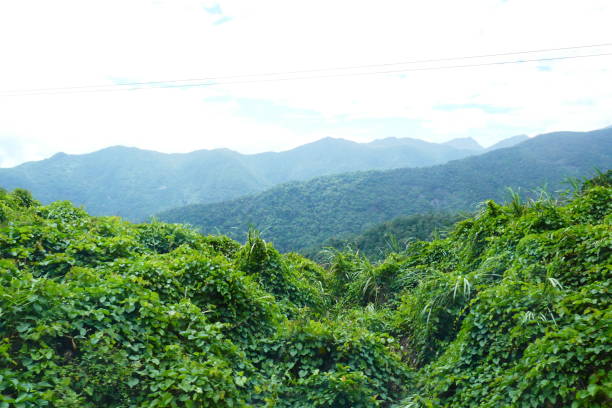 istock Mountainous road from Dalat to Nha Trang 869600356