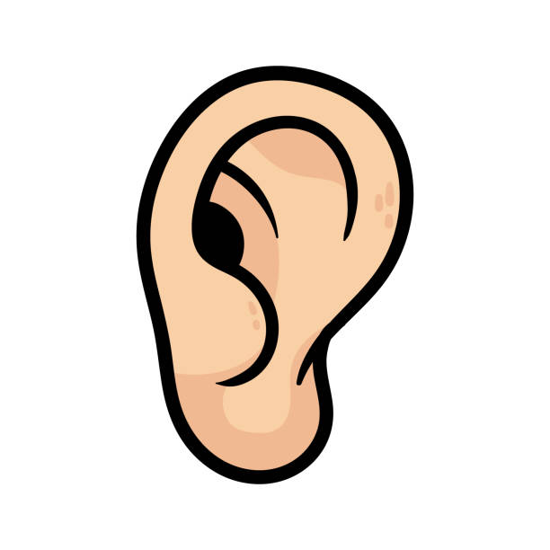 Cartoon Ear Cartoon ear illustration. funny ear stock illustrations