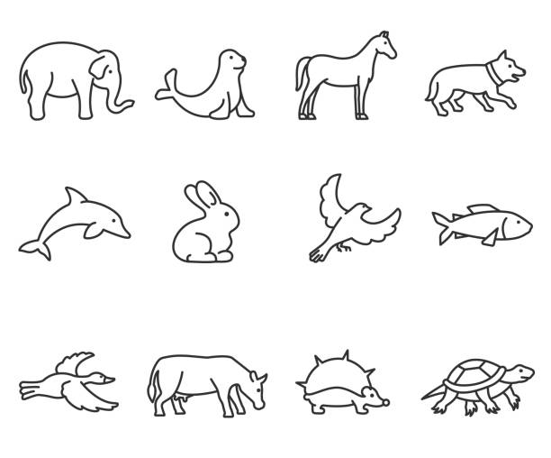 6,578 Elephant Outline Illustrations & Clip Art - iStock