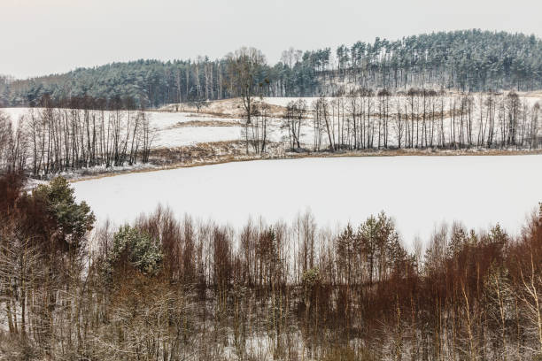 istock Trees in field covered by snow. Winter scenery 869607354
