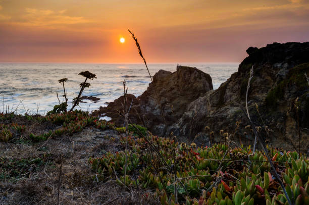 istock Sunset view with sun towards the beach pacific ocean in Californ 869610906