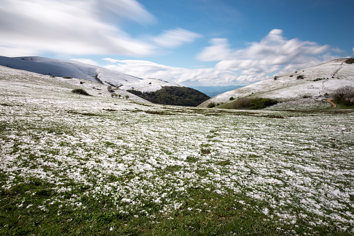 Pasture in front of snow covered Corno Grande in Gran Sasso National Park