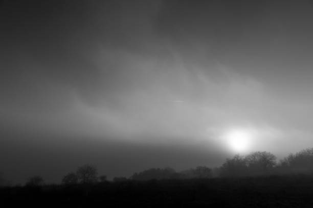 Photo of Low sun filtering through slightly above fog and mist, with some trees silhouettes