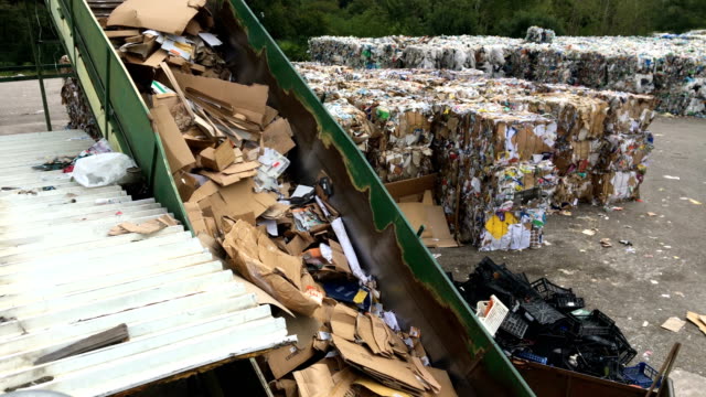 Waste Compactor on a Dumpsite