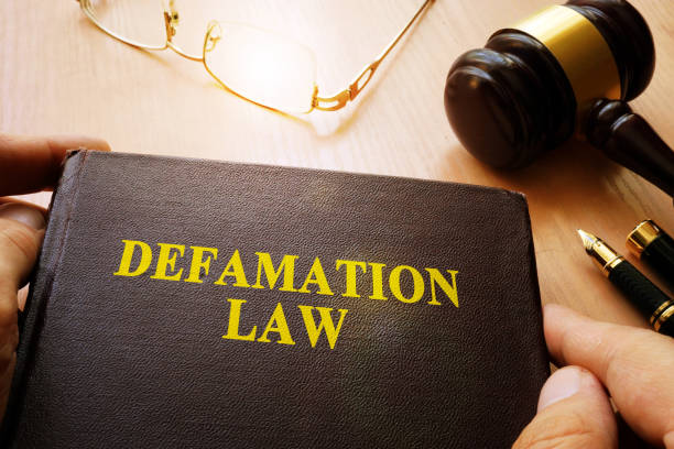 istock Defamation Law and gavel on a table. 869623110