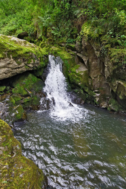 istock Waterfall on a mountain river in Siberia 869630368
