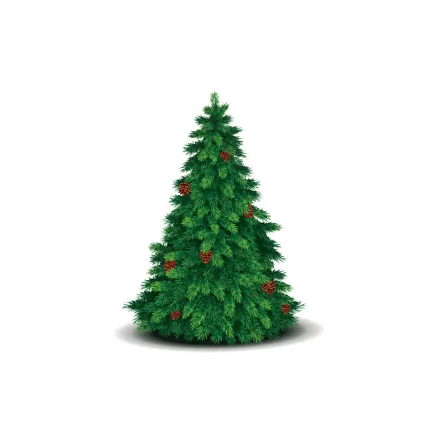 Vector illustration of Christmas tree with lush green branches and cones