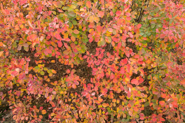 the colors of nature in the Karst