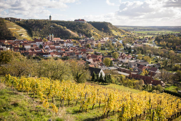 istock Vineyard Saale-Unstrut near Freyburg, Germany 869661988