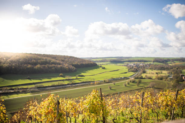 istock Vineyard Saale-Unstrut near Freyburg, Germany 869662410