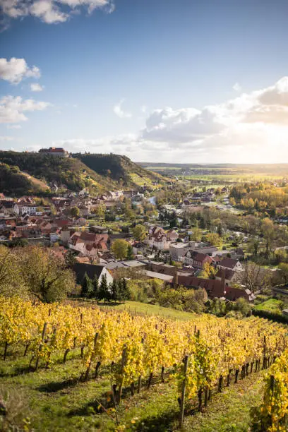 Freyburg, Germany: Autumn coloured vineyard at Saale-Unstrut with the city Freyburg.