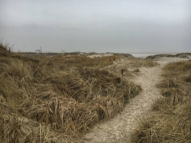 istock Beach St. Peter-Ording on a winter day 869675912