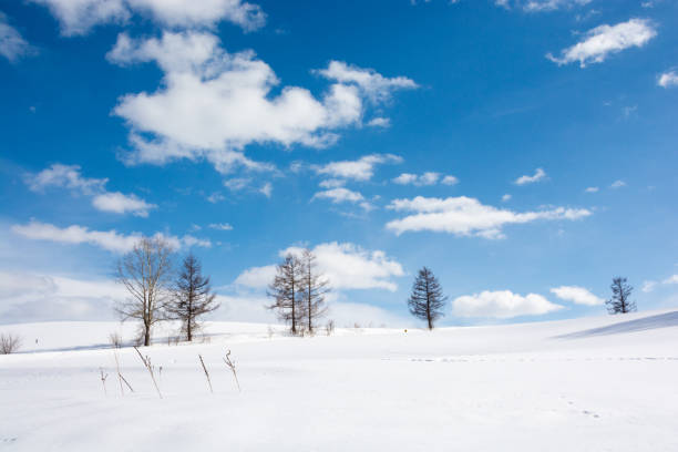 istock Winter blue sky and snow hill 869678622