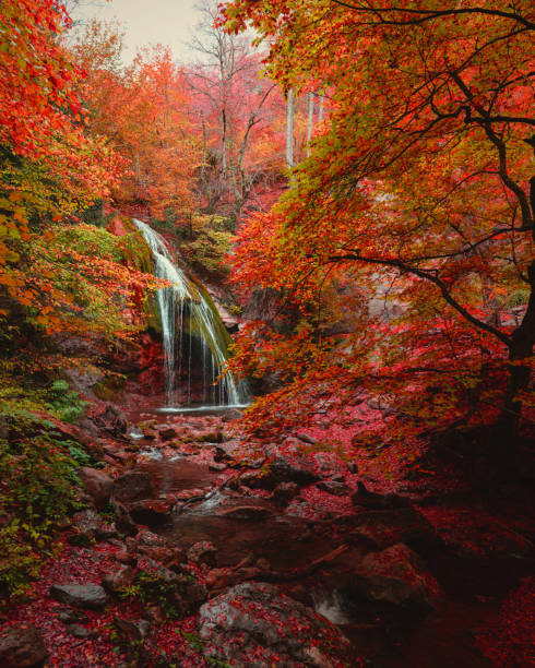 istock waterfall and the mountain river in the autumn forest in red tones 869678848