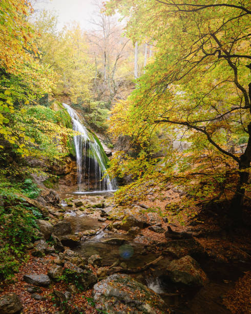 istock waterfall and the mountain river in the autumn forest 869679122