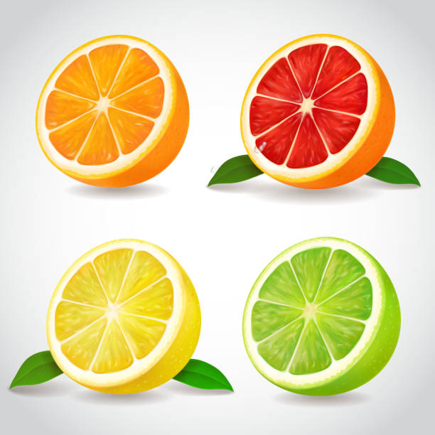 illustrations, cliparts, dessins animés et icônes de moitiés d’agrumes frais. orange pamplemousse citron lime les réalistes icônes vectorielles isolé - lime fruit citrus fruit portion