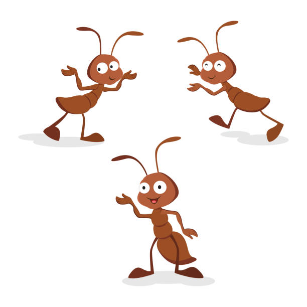 576 Ant Head Illustrations & Clip Art - iStock | Ants, Ant close up