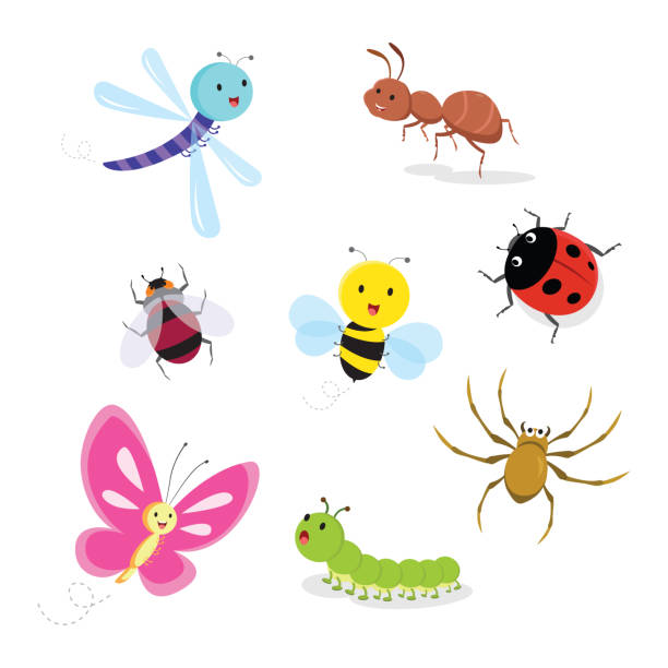 421 Caterpillar Face Illustrations & Clip Art - iStock 421 Caterpillar Face Illustrations & Clip Art - iStock