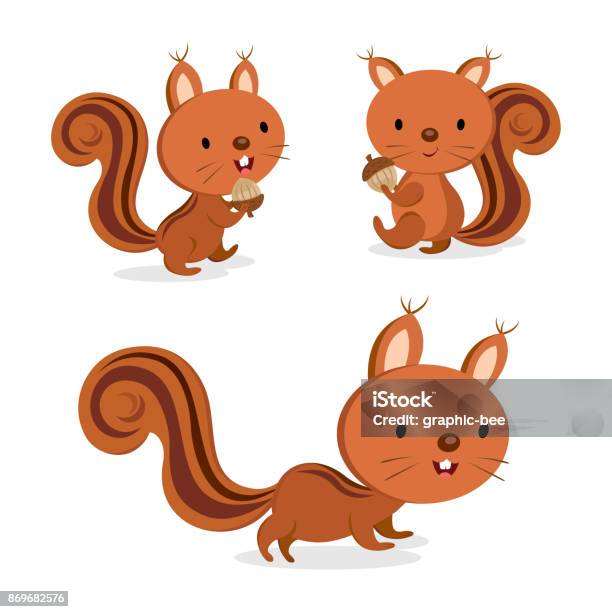 Set Of Squirrel In Different Pose Vector Illustration Stock Illustration - Download Image Now