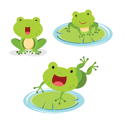 Vector illustration of set of green frog in different pose.