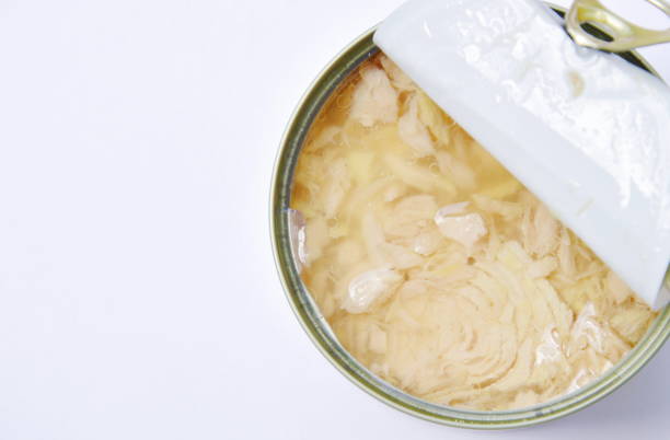 atún puede alimentos sobre fondo blanco - can packaging tuna food fotografías e imágenes de stock