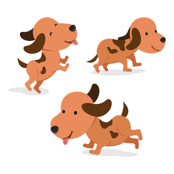 Set Of Dog In Different Pose Stock Illustration - Download Image Now - Dog,  Animal, Animal Body Part - iStock