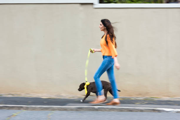 Photo of woman walking with a dog on a leash