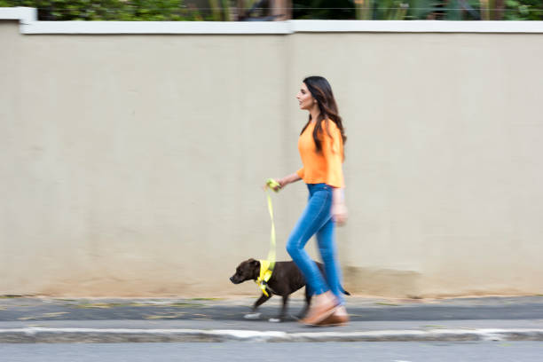 istock Woman walking with a dog on a leash 869683278