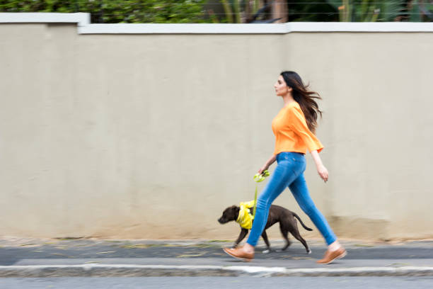 istock Woman walking with a dog on a leash 869683564