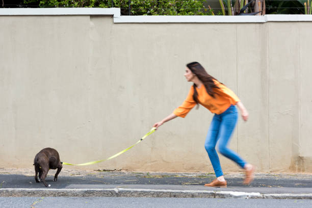 istock Woman walking with a dog on a leash 869683572