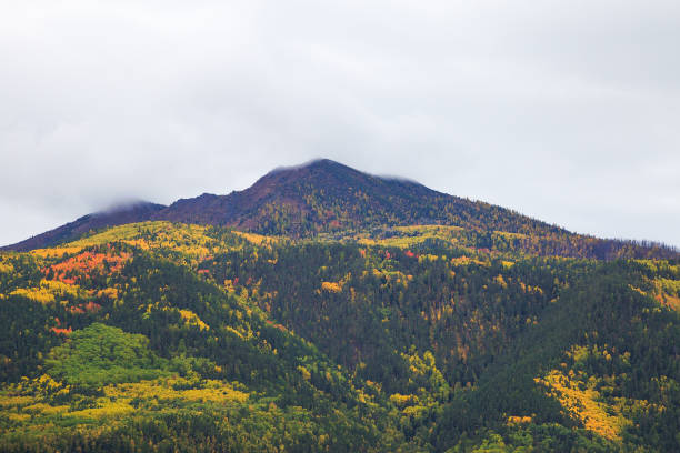 istock Colorful autumn forest in the mountains 869693824