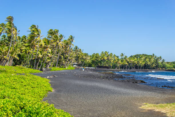 istock Hawaiian beach is covered with dark sand 869694426