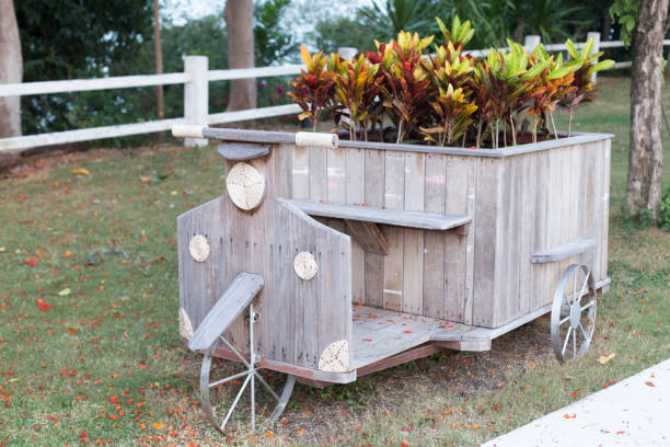 istock Models car wood and flower in garden. 869694814