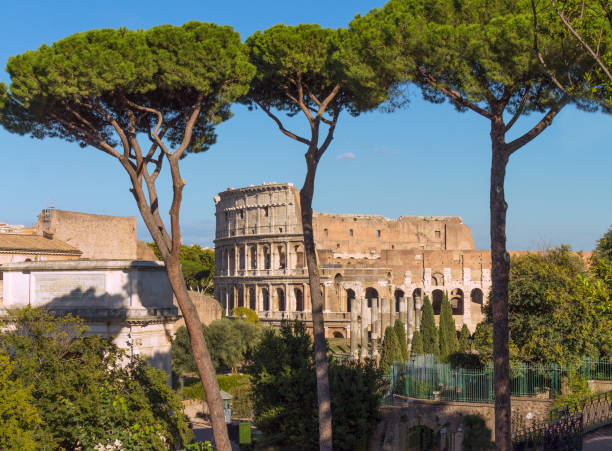 istock Panoramic view the Colosseum from Palantine hill 869695678