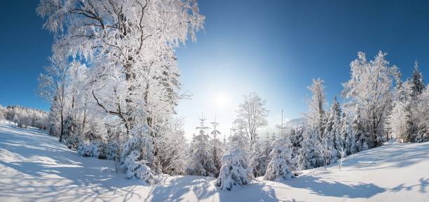 istock Winter landscape in Bavaria 869698574