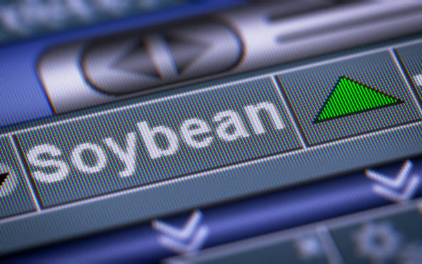 istock The Index of Soybean on The Screen. 869698854