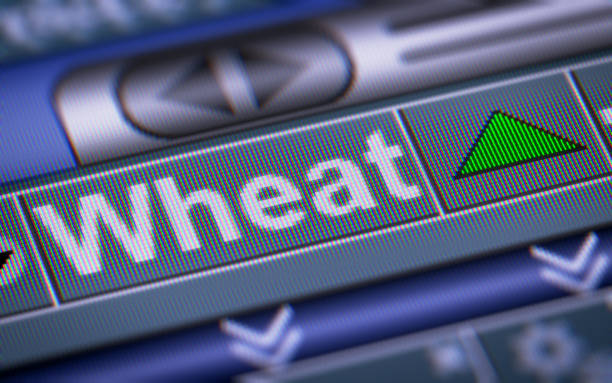 istock The Index of Wheat on The Screen. 869702242