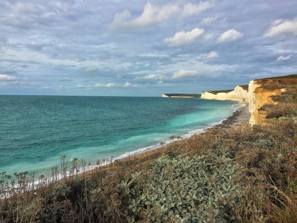 istock Birling Gap and the Seven Sisters 869702720
