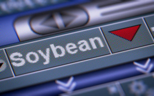 istock The Index of Soybean on The Screen. 869705426
