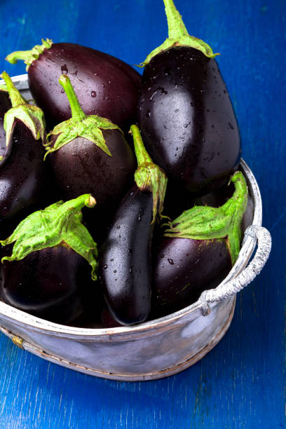 istock Fresh eggplant in grey basket on blue wooden table.Rustic background. Close up. Vegan vegetable. 869706112