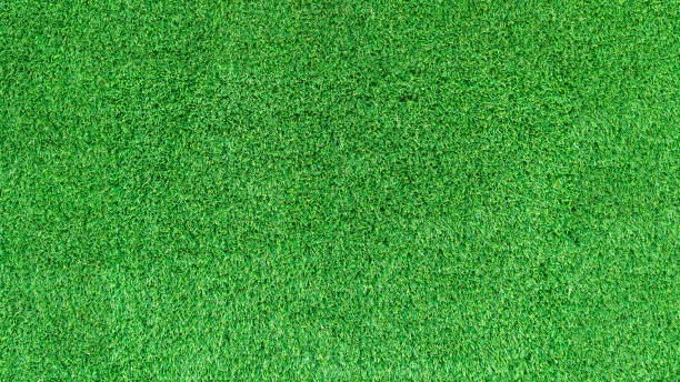 istock Artificial green grass texture or green grass background for golf course. soccer field or sports background concept design. 869706892